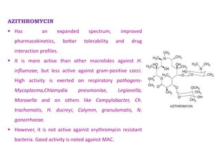 AZITHROMYCIN
 Has an expanded spectrum, improved
pharmacokinetics, better tolerability and drug
interaction profiles.
 It is more active than other macrolides against H.
influenzae, but less active against gram-positive cocci.
High activity is exerted on respiratory pathogens-
Mycoplasma,Chlamydia pneumoniae, Legionella,
Moraxella and on others like Campylobacter, Ch.
trachomatis, H. ducreyi, Calymm, granulomatis, N.
gonorrhoeae.
 However, it is not active against erythromycin resistant
bacteria. Good activity is noted against MAC.
 