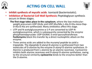 ACTING ON CELL WALL
• Inhibit synthesis of mycolic acids. Isoniazid (bacteriostatic).
• Inhibition of Bacterial Cell Wall Synthesis: Peptidoglycan synthesis
occurs in three stages.
The first stage takes place in the cytoplasm, where the low-molecular-
weight precursors UDP-GlcAc and UDP-MurNAc-L-Ala-D-Glu-meso-Dap-
D-Ala-D-Ala are synthesized. Many antibiotics affect this stage.
– UTP and N-acetylglucosamine α-1-P are converted to UDP-N-
acetylglucosamine, which is subsequently converted by the enzyme
phosphoenolpyruvate: UDP-GIcNAc-3-enol-pyruvyltransferase.
Fosfomycins block this transfer by a direct nucleophilic attack on the
enzyme.
– Three amino acids are added to the muramyl peptide to yield a
tripeptide. The dipeptide D-alanyl-D-alanine is synthesized from two
molecules of D-alanine by the enzyme D-alanyl-D-alanine synthetase. D-
Alanine is produced from L-alanine by an alanine racemase. Cycloserine
inhibits both alanine racemase and D-alanyl-D-alanine synthetase, owing
to the structural similarity cycloserine binds to the enzymes better than
the D-alanine.
 