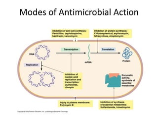 Modes of Antimicrobial Action
 