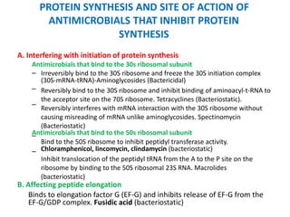 PROTEIN SYNTHESIS AND SITE OF ACTION OF
ANTIMICROBIALS THAT INHIBIT PROTEIN
SYNTHESIS
A. Interfering with initiation of protein synthesis
Antimicrobials that bind to the 30s ribosomal subunit
– Irreversibly bind to the 30S ribosome and freeze the 30S initiation complex
(30S-mRNA-tRNA)-Aminoglycosides (Bactericidal)
Reversibly bind to the 30S ribosome and inhibit binding of aminoacyl-t-RNA to
the acceptor site on the 70S ribosome. Tetracyclines (Bacteriostatic).
Reversibly interferes with mRNA interaction with the 30S ribosome without
causing misreading of mRNA unlike aminoglycosides. Spectinomycin
(Bacteriostatic)
–
–
Antimicrobials that bind to the 50s ribosomal subunit–
Bind to the 50S ribosome to inhibit peptidyl transferase activity.
Chloramphenicol, lincomycin, clindamycin (bacteriostatic)
Inhibit translocation of the peptidyl tRNA from the A to the P site on the
ribosome by binding to the 50S ribosomal 23S RNA. Macrolides
(bacteriostatic)
–
B. Affecting peptide elongation
Binds to elongation factor G (EF-G) and inhibits release of EF-G from the
EF-G/GDP complex. Fusidic acid (bacteriostatic)
 
