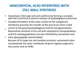 VANCOMYCIN, ALSO INTERFERES WITH
CELL WALL SYNTHESIS
Vancomycin interrupts cell wall synthesis by forming a complex
with the C-terminal D-alanine residues of peptidoglycan precursors.
Complex formation at the outer surface of the cytoplasmic
membrane prevents the transfer of the precursors from a lipid
carrier to the growing peptidoglycan wall by transglycosidases.
Biochemical reactions in the cell wall catalyzed by transpeptidases
and D,D-carboxypeptidases are also inhibited by vancomycin and
other glycopeptide antimicrobials.
Because of its large size and complex structure, vancomycin does
not penetrate the outer membrane of gram-negative organisms
thus active only on GPBs.
•
•
•
•
 