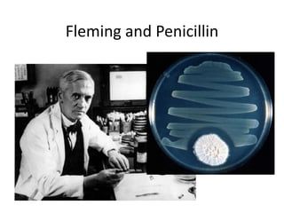 Fleming and Penicillin
 