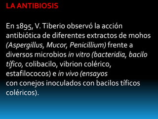 LA ANTIBIOSIS

En 1895, V. Tiberio observó la acción
antibiótica de diferentes extractos de mohos
(Aspergillus, Mucor, Penicillium) frente a
diversos microbios in vitro (bacteridia, bacilo
tífico, colibacilo, vibrion colérico,
estafilococos) e in vivo (ensayos
con conejos inoculados con bacilos tíficos
coléricos).
 