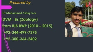 Prepared by
Dr Muhammad Ashiq Toor
DVM , Bs (Zoology)
from IUB BWP (2010 – 2015)
+92-344-499-7375
+92-300-364-2402
 
