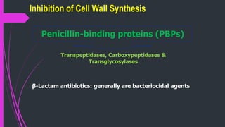 Inhibition of Cell Wall Synthesis
Transpeptidases, Carboxypeptidases &
Transglycosylases
Penicillin-binding proteins (PBPs(
β-Lactam antibiotics: generally are bacteriocidal agents
 