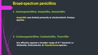 1- Aminopenicillins: Ampicillin, Amoxicillin
Ampicillin was limited primarily to Escherichia & Proteus
species .
2- Carboxypenicillins: Carbenicillin, Ticarcillin
Are effective against a broader range of G-ve bacteria i.e
Klebsiella, Enterobacter, & Pseudomonas species .
Broad-spectrum penicillins
 