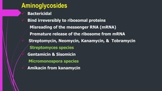  Bactericidal
 Bind irreversibly to ribosomal proteins
Misreading of the messenger RNA (mRNA)
Premature release of the ribosome from mRNA
 Streptomycin, Neomycin, Kanamycin, & Tobramycin
Streptomyces species
 Gentamicin & Sisomicin
Micromonospora species
 Amikacin from kanamycin
Aminoglycosides
 