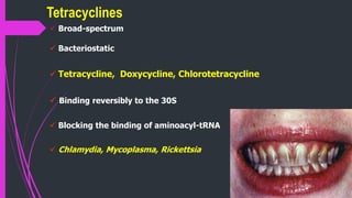  Broad-spectrum
 Bacteriostatic
 Tetracycline, Doxycycline, Chlorotetracycline
 Binding reversibly to the 30S
 Blocking the binding of aminoacyl-tRNA
 Chlamydia, Mycoplasma, Rickettsia
Tetracyclines
 