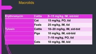 Macrolids
Erythromycin Cattle 8–15 mg/kg, IM, sid-bid
Cat 15 mg/kg, PO, tid
Foals 25 mg/kg, IM, tid
Tylosin Cattle 10–20 mg/kg, IM, sid-bid
Pigs 10 mg/kg, IM, sid-bid
7–10 mg/kg, PO, tid
Cats 10 mg/kg, IM, bid
 