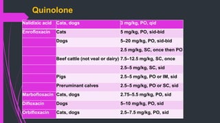 Quinolone
Nalidixic acid Cats, dogs 3 mg/kg, PO, qid
Enrofloxacin Cats 5 mg/kg, PO, sid-bid
Dogs 5–20 mg/kg, PO, sid-bid
2.5 mg/kg, SC, once then PO
Beef cattle (not veal or dairy) 7.5–12.5 mg/kg, SC, once
2.5–5 mg/kg, SC, sid
Pigs 2.5–5 mg/kg, PO or IM, sid
Preruminant calves 2.5–5 mg/kg, PO or SC, sid
Marbofloxacin Cats, dogs 2.75–5.5 mg/kg, PO, sid
Difloxacin Dogs 5–10 mg/kg, PO, sid
Orbifloxacin Cats, dogs 2.5–7.5 mg/kg, PO, sid
 