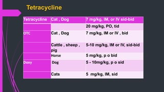 Tetracycline
Tetracycline Cat , Dog 7 mg/kg, IM, or IV sid-bid
20 mg/kg, PO, tid
OTC Cat , Dog 7 mg/kg, IM or IV , bid
Cattle , sheep ,
pig
5-10 mg/kg, IM or IV, sid-bid
Horse 5 mg/kg, p o bid
Doxy Dog 5 - 10mg/kg, p o sid
Cats 5 mg/kg, IM, sid
 