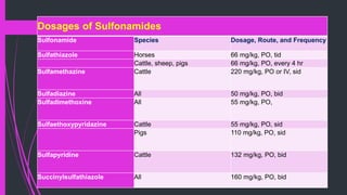 Dosages of Sulfonamides
Sulfonamide Species Dosage, Route, and Frequency
Sulfathiazole Horses 66 mg/kg, PO, tid
Cattle, sheep, pigs 66 mg/kg, PO, every 4 hr
Sulfamethazine Cattle 220 mg/kg, PO or IV, sid
Sulfadiazine All 50 mg/kg, PO, bid
Sulfadimethoxine All 55 mg/kg, PO,
Sulfaethoxypyridazine Cattle 55 mg/kg, PO, sid
Pigs 110 mg/kg, PO, sid
Sulfapyridine Cattle 132 mg/kg, PO, bid
Succinylsulfathiazole All 160 mg/kg, PO, bid
 