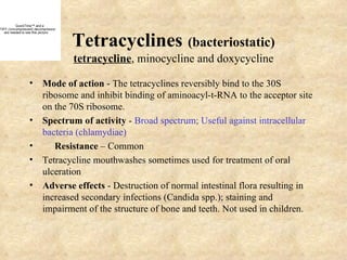 QuickTime™ and a
TIFF (Uncompressed) decompressor



                                     Tetracyclines (bacteriostatic)
   are needed to see this picture.




                                     tetracycline, minocycline and doxycycline

                  • Mode of action - The tetracyclines reversibly bind to the 30S
                    ribosome and inhibit binding of aminoacyl-t-RNA to the acceptor site
                    on the 70S ribosome.
                  • Spectrum of activity - Broad spectrum; Useful against intracellular
                    bacteria (chlamydiae)
                  •    Resistance – Common
                  • Tetracycline mouthwashes sometimes used for treatment of oral
                    ulceration
                  • Adverse effects - Destruction of normal intestinal flora resulting in
                    increased secondary infections (Candida spp.); staining and
                    impairment of the structure of bone and teeth. Not used in children.
 