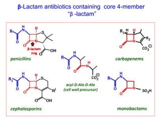 β-Lactam antibiotics containing core 4-member
“β -lactam”
 