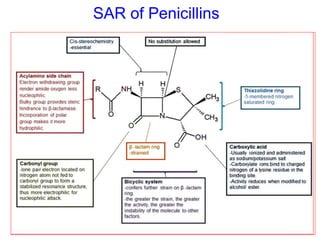 SAR of Penicillins
 