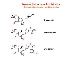 Picture of Antibiotics acting on cell wall 3 Carbapenems and Monobactums 03-05 ...
