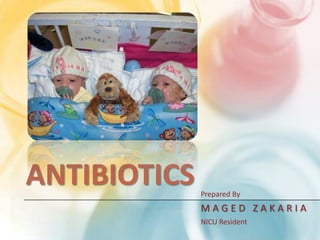 Antibiotics Prepared By MAGED ZAKARIA NICU Resident 