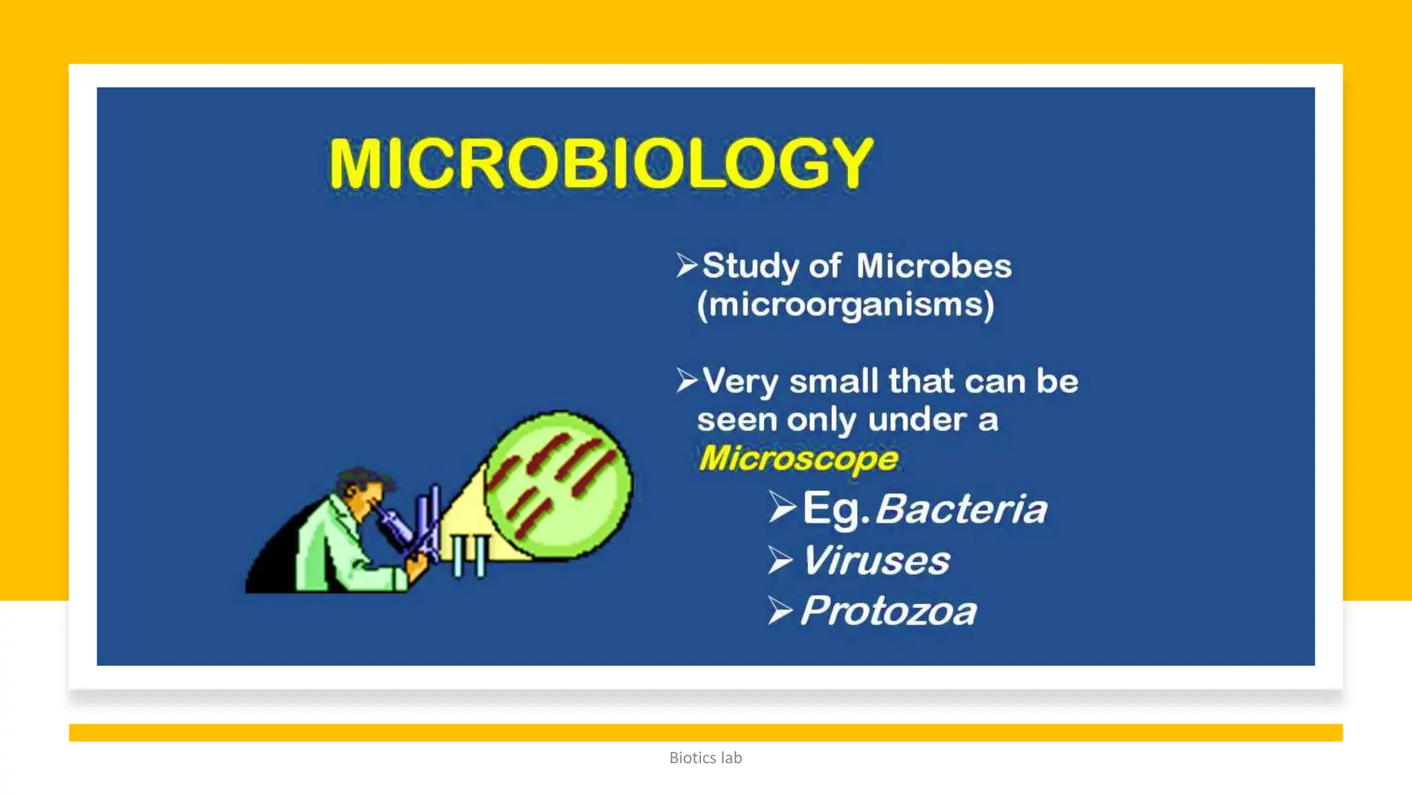 Antibiotic visual data 5
