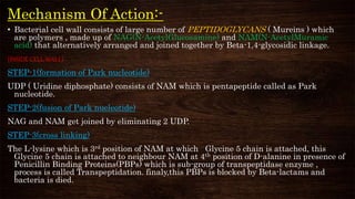 Mechanism Of Action:-
• Bacterial cell wall consists of large number of PEPTIDOGLYCANS ( Mureins ) which
are polymers , made up of NAG(N-AcetylGlucosamine) and NAM(N-AcetylMuramic
acid) that alternatively arranged and joined together by Beta-1,4-glycosidic linkage.
{INSIDE CELL WALL}
STEP-1(formation of Park nucleotide)
UDP ( Uridine diphosphate) consists of NAM which is pentapeptide called as Park
nucleotide.
STEP-2(fusion of Park nucleotide)
NAG and NAM get joined by eliminating 2 UDP.
STEP-3(cross linking)
The L-lysine which is 3rd position of NAM at which Glycine 5 chain is attached, this
Glycine 5 chain is attached to neighbour NAM at 4th position of D-alanine in presence of
Penicillin Binding Proteins(PBPs) which is sub-group of transpeptidase enzyme ,
process is called Transpeptidation. finaly,this PBPs is blocked by Beta-lactams and
bacteria is died.
 