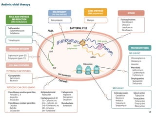Antibiotics by Dr.Pravallika.pptx commly used in surgery | PPTX
