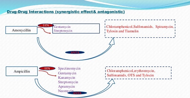 Antibiotics Classification Synergism And Antagonism