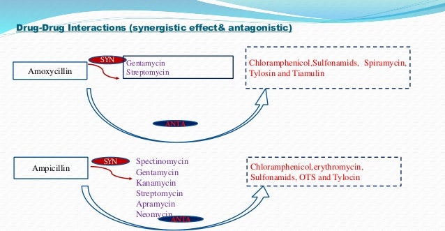 Antibiotics Classification Synergism And Antagonism Antibiotics Classification Synergism And Antagonism