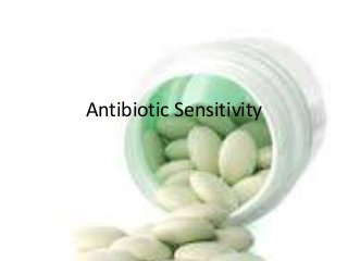 Antibiotic Sensitivity
 