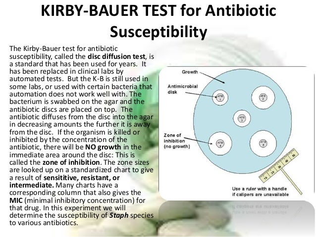 k-b test blood sensitivity Antibiotic