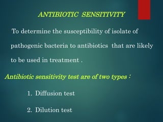 Bacteria Sensitivity Testing antibiotic sensitivity test on pathogenic bacteria. | PPT