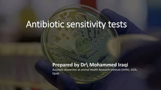 Antibiotic sensitivity tests
Prepared by Dr Mohammed Iraqi
Assistant researcher at animal Health Research Institute (AHRI), GIZA,
Egypt
 