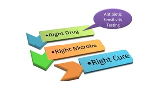 Antibiotic sensitivity test. | PPTX