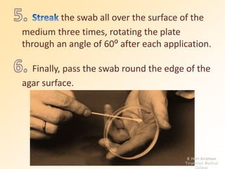 the swab all over the surface of the 
medium three times, rotating the plate 
through an angle of 60⁰ after each application. 
Finally, pass the swab round the edge of the 
agar surface. 
K Hari Krishnan 
Tirunelveli Medical 
College 
 