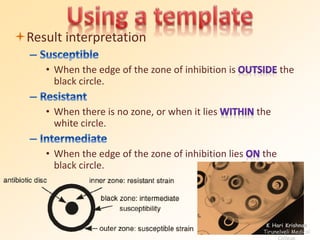 Result interpretation 
• When the edge of the zone of inhibition is the 
black circle. 
• When there is no zone, or when it lies the 
white circle. 
• When the edge of the zone of inhibition lies the 
black circle. 
K Hari Krishnan 
Tirunelveli Medical 
College 
 