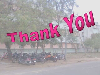 Antibiotic Sensitivity Tests