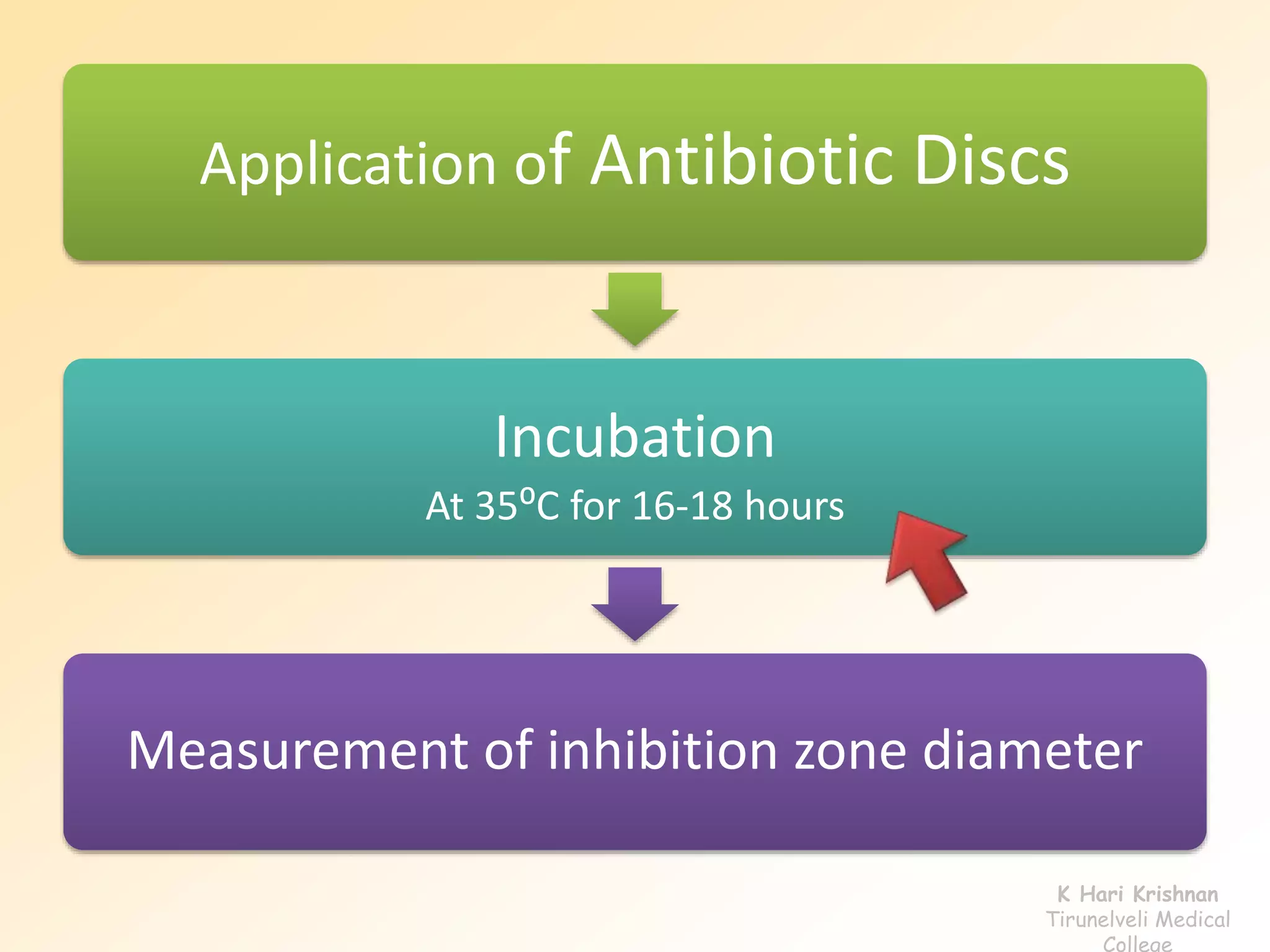 Application of Antibiotic Discs
Incubation
At 35⁰C for 16-18 hours
Measurement of inhibition zone diameter
K Hari Krishnan
Tirunelveli Medical
College
 