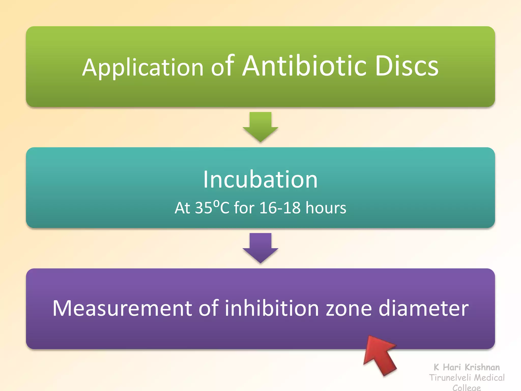 Application of Antibiotic Discs
Incubation
At 35⁰C for 16-18 hours
Measurement of inhibition zone diameter
K Hari Krishnan
Tirunelveli Medical
College
 