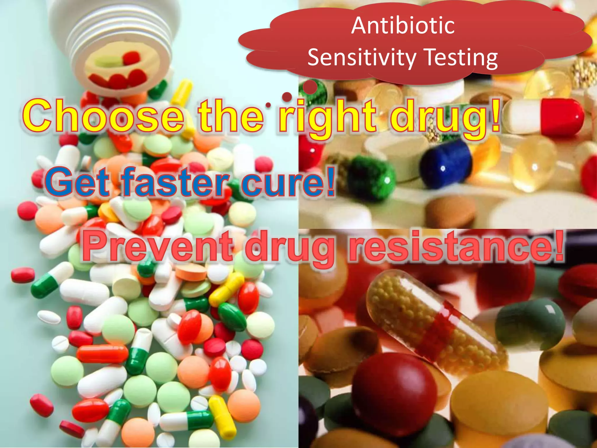 Antibiotic
Sensitivity Testing
 