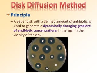 – A paper disk with a defined amount of antibiotic is
used to generate a dynamically changing gradient
of antibiotic concentrations in the agar in the
vicinity of the disk.
 