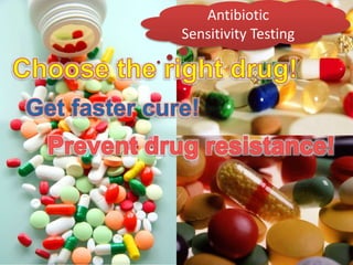 Antibiotic
Sensitivity Testing
 