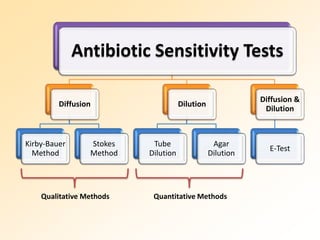 Antibiotic Sensitivity Tests
Diffusion
Kirby-Bauer
Method
Stokes
Method
Dilution
Tube
Dilution
Agar
Dilution
Diffusion &
Dilution
E-Test
Qualitative Methods Quantitative Methods
 