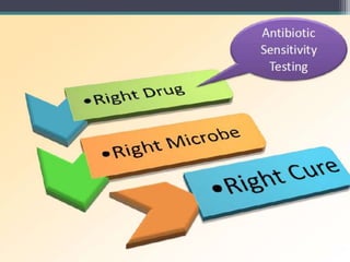 Antibiotic Sensitivity Testing and Antimicrobial Stewardship.pptx