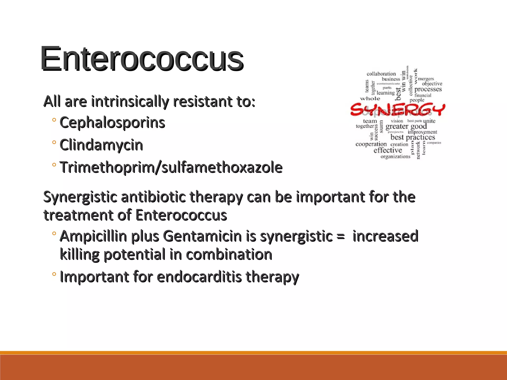 EnterococcusEnterococcus
All are intrinsically resistant to:All are intrinsically resistant to:
◦CephalosporinsCephalosporins
◦ClindamycinClindamycin
◦Trimethoprim/sulfamethoxazoleTrimethoprim/sulfamethoxazole
Synergistic antibiotic therapy can be important for theSynergistic antibiotic therapy can be important for the
treatment of Enterococcustreatment of Enterococcus
◦Ampicillin plus Gentamicin is synergistic = increasedAmpicillin plus Gentamicin is synergistic = increased
killing potential in combinationkilling potential in combination
◦Important for endocarditis therapyImportant for endocarditis therapy
 
