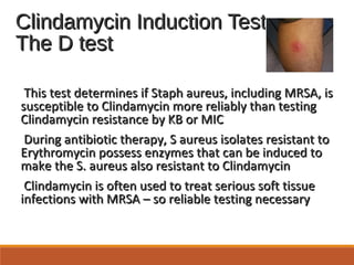Clindamycin Induction Test –Clindamycin Induction Test –
The D testThe D test
This test determines if Staph aureus, including MRSA, isThis test determines if Staph aureus, including MRSA, is
susceptible to Clindamycin more reliably than testingsusceptible to Clindamycin more reliably than testing
Clindamycin resistance by KB or MICClindamycin resistance by KB or MIC
During antibiotic therapy, S aureus isolates resistant toDuring antibiotic therapy, S aureus isolates resistant to
Erythromycin possess enzymes that can be induced toErythromycin possess enzymes that can be induced to
make the S. aureus also resistant to Clindamycinmake the S. aureus also resistant to Clindamycin
Clindamycin is often used to treat serious soft tissueClindamycin is often used to treat serious soft tissue
infections with MRSA – so reliable testing necessaryinfections with MRSA – so reliable testing necessary
 
