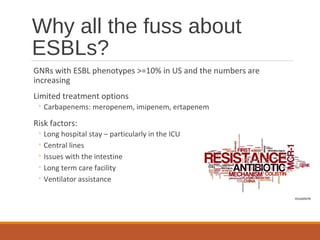 Why all the fuss about
ESBLs?
GNRs with ESBL phenotypes >=10% in US and the numbers are
increasing
Limited treatment options
◦ Carbapenems: meropenem, imipenem, ertapenem
Risk factors:
◦ Long hospital stay – particularly in the ICU
◦ Central lines
◦ Issues with the intestine
◦ Long term care facility
◦ Ventilator assistance
 