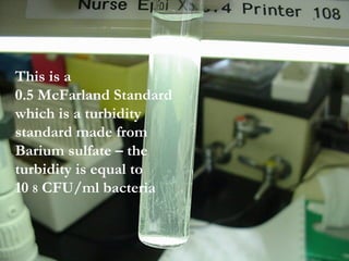 This is a
0.5 McFarland Standard
which is a turbidity
standard made from
Barium sulfate – the
turbidity is equal to
10 8 CFU/ml bacteria
 