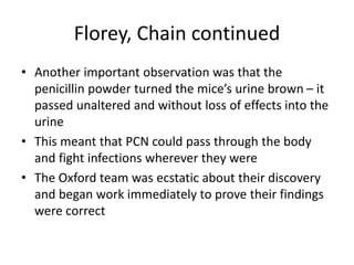 Florey, Chain continued
• Another important observation was that the
penicillin powder turned the mice’s urine brown – it
passed unaltered and without loss of effects into the
urine
• This meant that PCN could pass through the body
and fight infections wherever they were
• The Oxford team was ecstatic about their discovery
and began work immediately to prove their findings
were correct
 