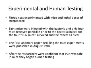 Experimental and Human Testing
• Florey next experimented with mice and lethal doses of
streptococci
• Eight mice were injected with the bacteria and only four
mice received penicillin prior to the bacterial injection:
the four “PCN mice” survived and the others all died
• The first landmark paper detailing the mice experiments
were published in August 1940
• After the researchers were confident that PCN was safe
in mice they began human testing
 