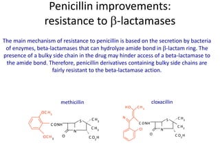 Penicillin improvements:
resistance to -lactamases
The main mechanism of resistance to penicillin is based on the secretion by bacteria
of enzymes, beta-lactamases that can hydrolyze amide bond in -lactam ring. The
presence of a bulky side chain in the drug may hinder access of a beta-lactamase to
the amide bond. Therefore, penicillin derivatives containing bulky side chains are
fairly resistant to the beta-lactamase action.
N
S
C ONH
C H3
C H3
O C O2
H
OC H3
OCH3
methicillin
N
S
C ONH
C H3
C H3
O C O2
H
CH3
O
H
N
Cl
cloxacillin
 