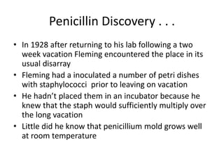 Penicillin Discovery . . .
• In 1928 after returning to his lab following a two
week vacation Fleming encountered the place in its
usual disarray
• Fleming had a inoculated a number of petri dishes
with staphylococci prior to leaving on vacation
• He hadn’t placed them in an incubator because he
knew that the staph would sufficiently multiply over
the long vacation
• Little did he know that penicillium mold grows well
at room temperature
 
