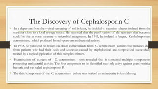 The Discovery of Cephalosporin C
• In a departure from the typical screening of soil isolates, he decided to examine cultures isolated from the
seawater close to a local sewage outlet. He reasoned that the puriﬁ cation of the seawater that occurred
could be due in some measure to microbial antagonism. In 1945, he isolated a fungus, Cephalosporium
acremonium, which produced broad-spectrum antibacterial activity.
• In 1948, he published his results on crude extracts made from C. acremonium cultures that included data
from patients who had their boils and abscesses caused by staphylococci and streptococci successfully
treated by a topical application of this complex mixture.
• Examination of extracts of C. acremonium soon revealed that it contained multiple components
possessing antibacterial activity. The ﬁrst component to be identiﬁed was only active against gram-positive
bacteria and was called cephalosporin P.
• The third component of the C. acremonium culture was noticed as an impurity isolated during.
 